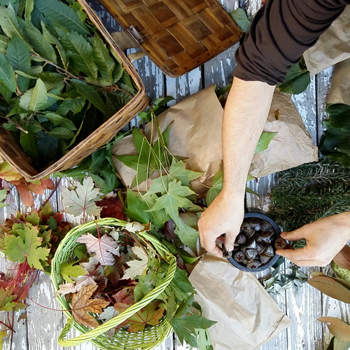 Ato docente agroecologo de The Dyers House